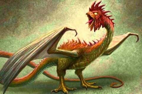 Pollo o basilisco?: Animal con cuatro patas es relacionado con el ser mitológico   (ver video)